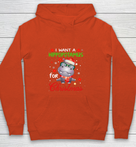 I Want A Hippopotamus For Christmas Funny Hippo Gifts Youth Hoodie
