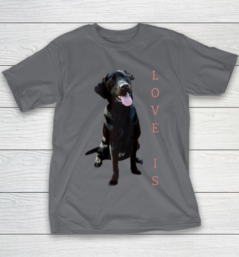 Dog Mom Shirt Labrador Retriever Shirt Women Men Kids Black Lab Dog Mom Youth T-Shirt 5
