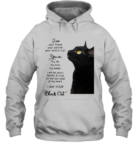 i am a cat hoodie