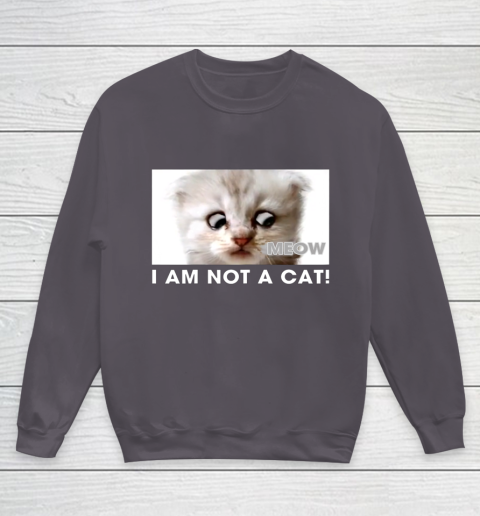 I am not a cat shirt funny video zoom call cat Youth Sweatshirt 5
