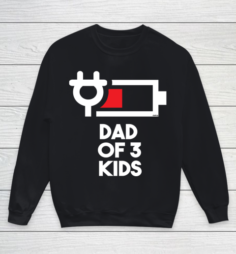Dad of 3 Kids Funny Gift Daddy of Three Kids Father's Day Youth Sweatshirt
