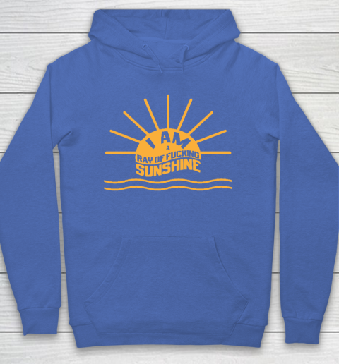 I am a Ray of fucking Sunshine Hoodie 6