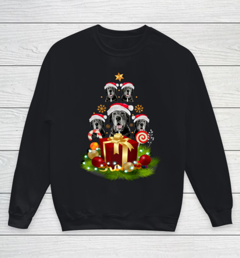 Santa Great Dane Christmas Tree Xmas Gift for Great Dane Youth Sweatshirt