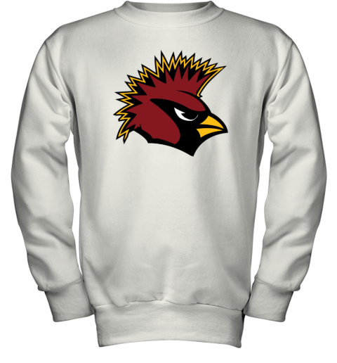 Arizona Cardinals NFL National Football Youth Sweatshirt