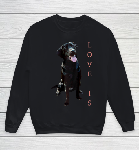 Dog Mom Shirt Labrador Retriever Shirt Women Men Kids Black Lab Dog Mom Youth Sweatshirt