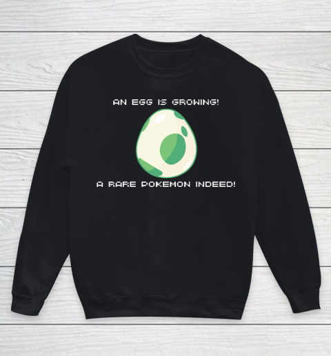 Mother's Day Funny Gift Ideas Apparel  An Egg is Growing Mom Youth Sweatshirt