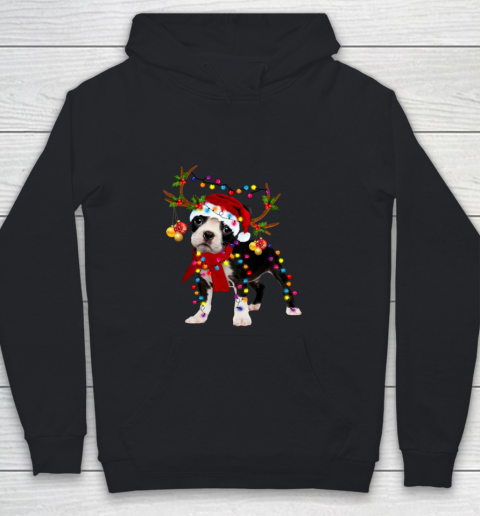 Santa Boston terrier reindeer Light Christmas gifts Youth Hoodie