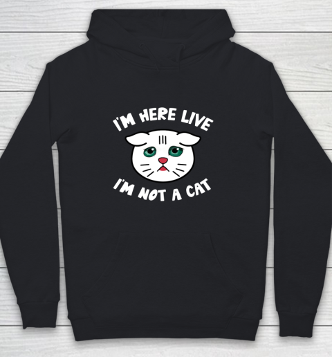 I m Here Live I m Not a Cat Filter Lawyer Meme Funny Kitten Youth Hoodie