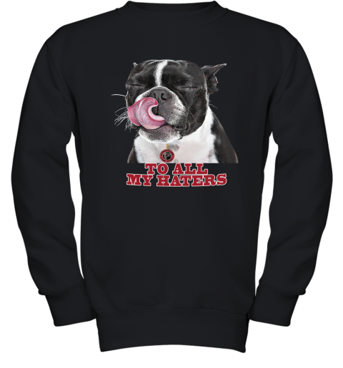 Atlanta Falcons To All My Haters Dog Licking Youth Sweatshirt