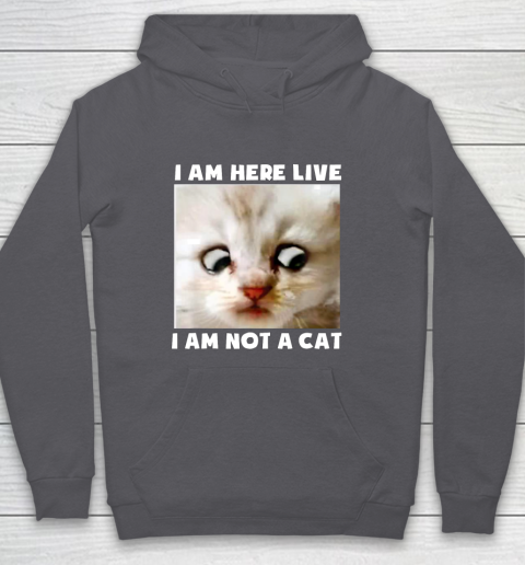 I Am Here Live I Am Not A Cat Funny Lawyer Cat Meme Hoodie 4
