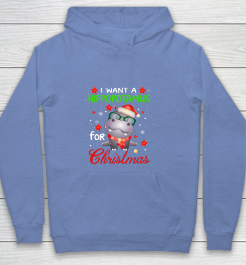 I Want A Hippopotamus For Christmas Funny Hippo Gifts Youth Hoodie 8