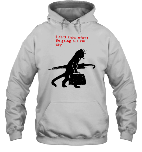 I Don't Know Where I'm Going But I'm Gay Hoodie