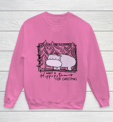 I Want A Hippopotamus For Christmas Hippo for Kid Women Men Youth Sweatshirt 3