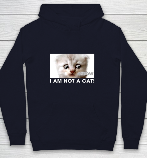 I am not a cat shirt funny video zoom call cat Youth Hoodie 2