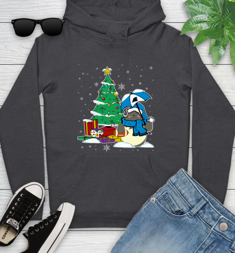 Carolina Panthers NFL Football Cute Tonari No Totoro Christmas Sports Youth Hoodie 8