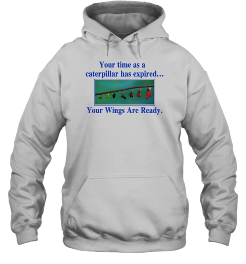 Your Time As A Caterpillar Has Expired Your Wings Are Ready Hoodie