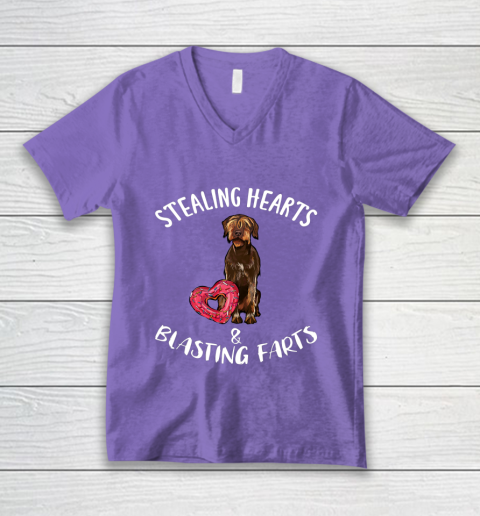 Stealing Hearts Blasting Farts Wirehaired Pointing Griffon V-Neck T-Shirt 8