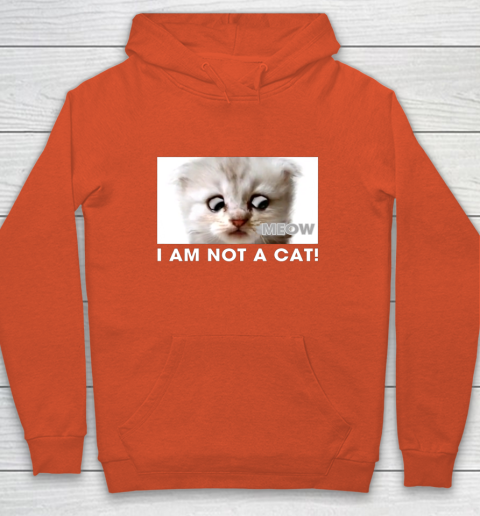 I am not a cat shirt funny video zoom call cat Hoodie 3