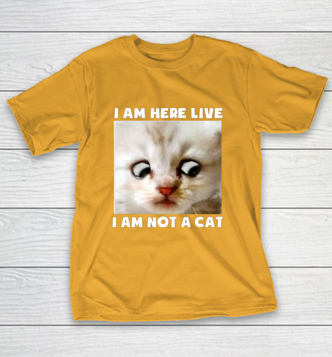 I Am Here Live I Am Not A Cat Funny Lawyer Cat Meme T-Shirt 2