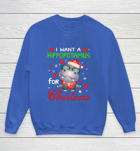 I Want A Hippopotamus For Christmas Funny Hippo Gifts Youth Sweatshirt 6