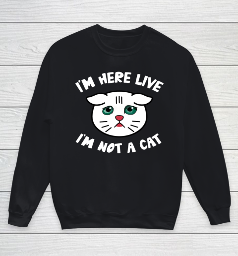I m Here Live I m Not a Cat Filter Lawyer Meme Funny Kitten Youth Sweatshirt