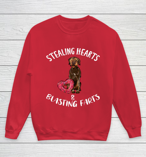 Stealing Hearts Blasting Farts Wirehaired Pointing Griffon Youth Sweatshirt 7
