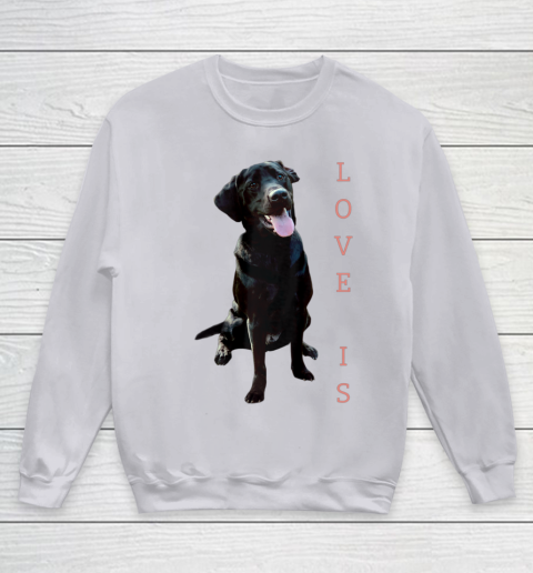 Dog Mom Shirt Labrador Retriever Shirt Women Men Kids Black Lab Dog Mom Youth Sweatshirt 3
