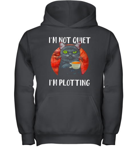 I'M Not Quiet I'M Plotting Funny Cat Youth Hoodie
