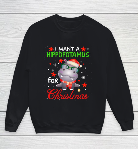 I Want A Hippopotamus For Christmas Funny Hippo Gifts Youth Sweatshirt