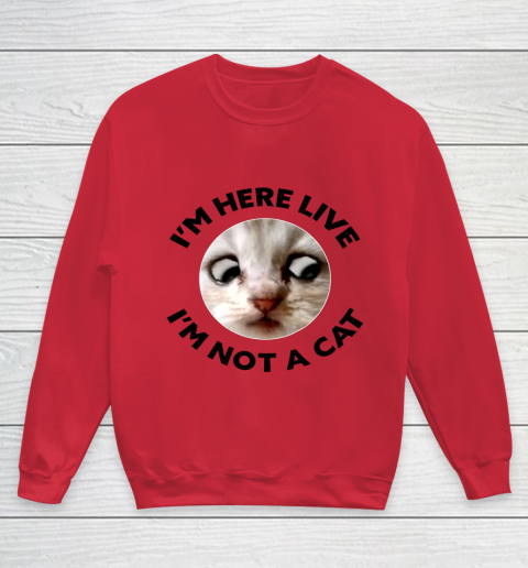 I m Here Live I m Not a Cat Zoom Cat Meme Humor Gifts Youth Sweatshirt 4