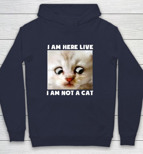 I Am Here Live I Am Not A Cat Funny Lawyer Cat Meme Hoodie Itees Global