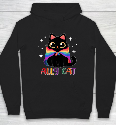 Ally Cat LGBT Gay Rainbow Pride Flag Funny Cat Lover Hoodie