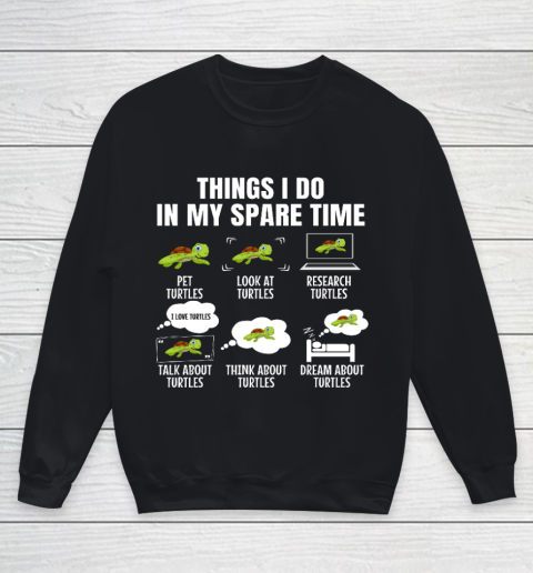 Things I Do In My Spare Time Turtles Turtles Lover Youth Sweatshirt