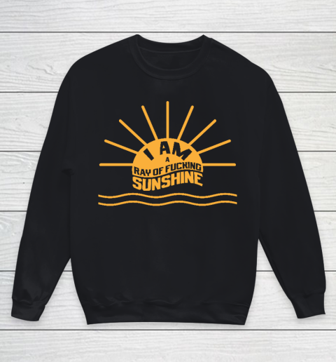 I am a Ray of fucking Sunshine Youth Sweatshirt