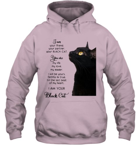 i am cat hoodie