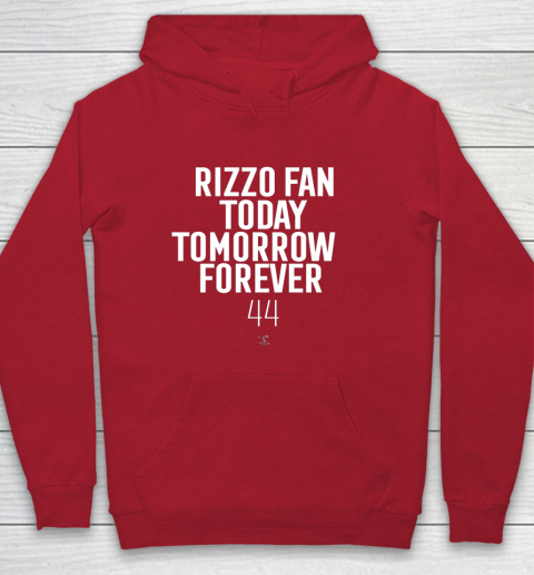 Anthony Rizzo Tshirt Fan Today Tomorrow Forever Gameday Youth Hoodie 7