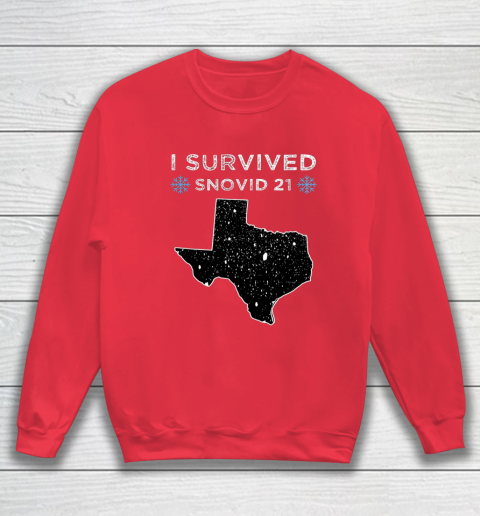 I Survived Winter Snow Storm 2021 Icy Freezing Weather Sweatshirt 7