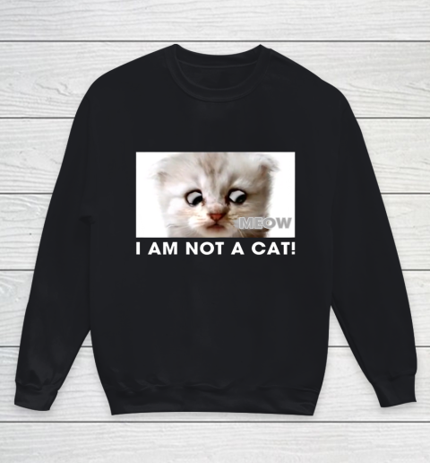 I am not a cat shirt funny video zoom call cat Youth Sweatshirt