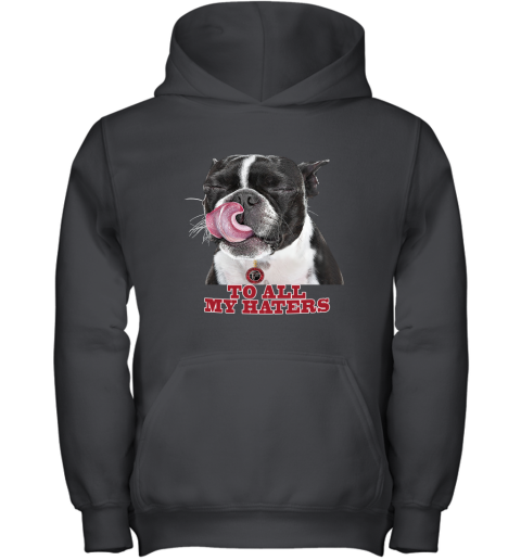 Atlanta Falcons To All My Haters Dog Licking Youth Hoodie