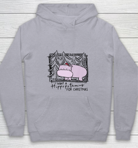 I Want A Hippopotamus For Christmas Hippo for Kid Women Men Youth Hoodie 4