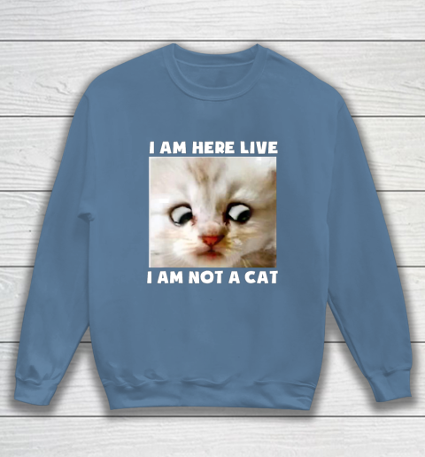 I Am Here Live I Am Not A Cat Funny Lawyer Cat Meme Sweatshirt 6