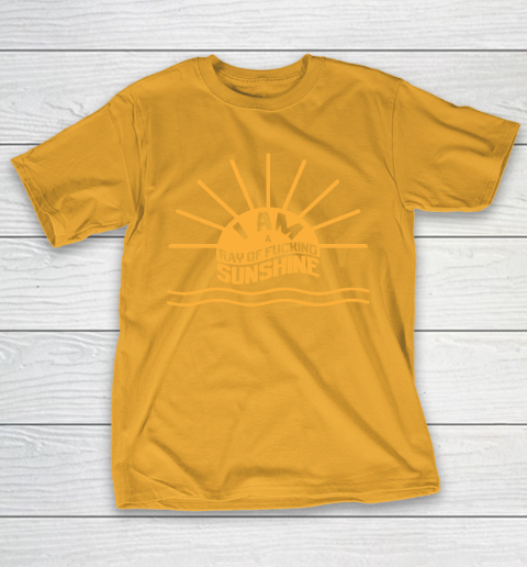 I am a Ray of fucking Sunshine T-Shirt 2