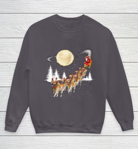 Golden Retriever Reindeer Christmas Youth Sweatshirt 5