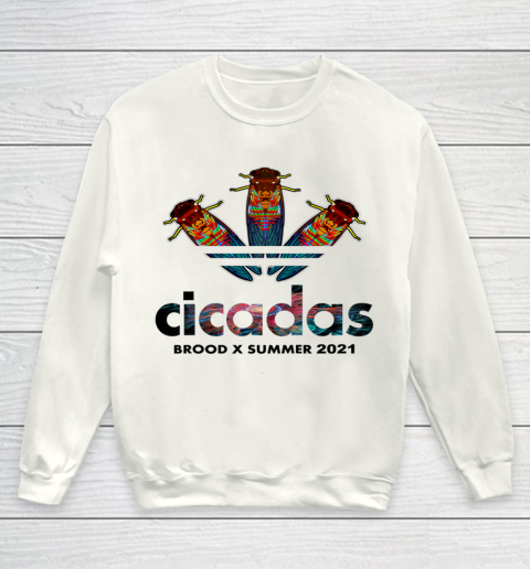Cicada 2021 tshirt Summer Brood X Magicicada 2021 USA Youth Sweatshirt