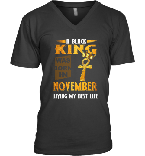 A Black King Was Born In November Living My Best Life V-Neck T-Shirt