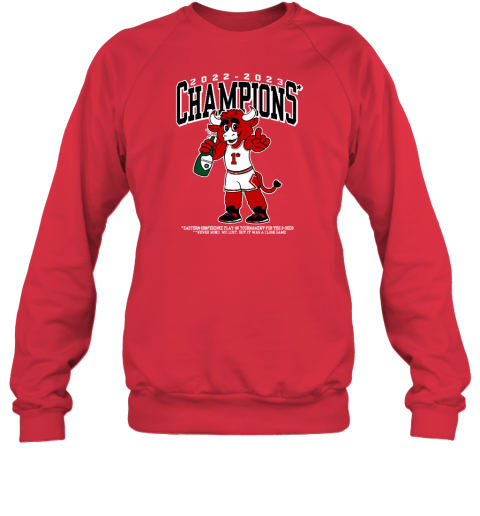 2022 2023 Champions Eastern Conference Play In Tournament For The 8 Seed Never Mind We Lost But It Was A Close Game Sweatshirt