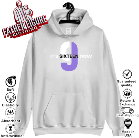 jmv3 sacramento kings itamp 39 s sixteen now hoodie 23 front sport grey