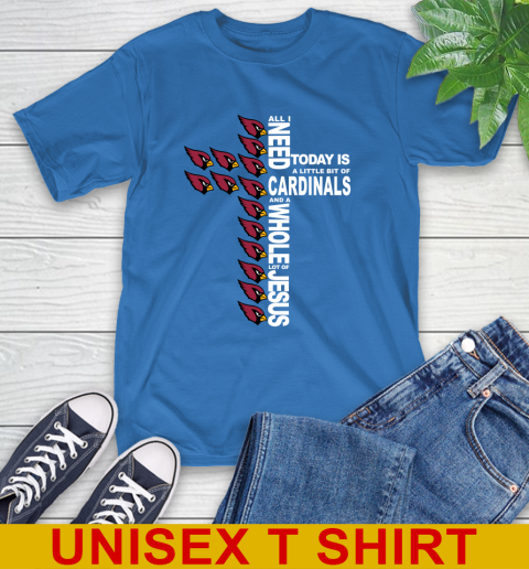 NFL All I Need Today Is A Little Bit Of Arizona Cardinals Shirt T-Shirt 11