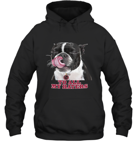 Arizona Cardinals To All My Haters Dog Licking Hoodie