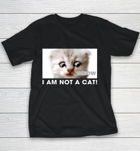 I am not a cat shirt funny video zoom call cat Youth T-Shirt